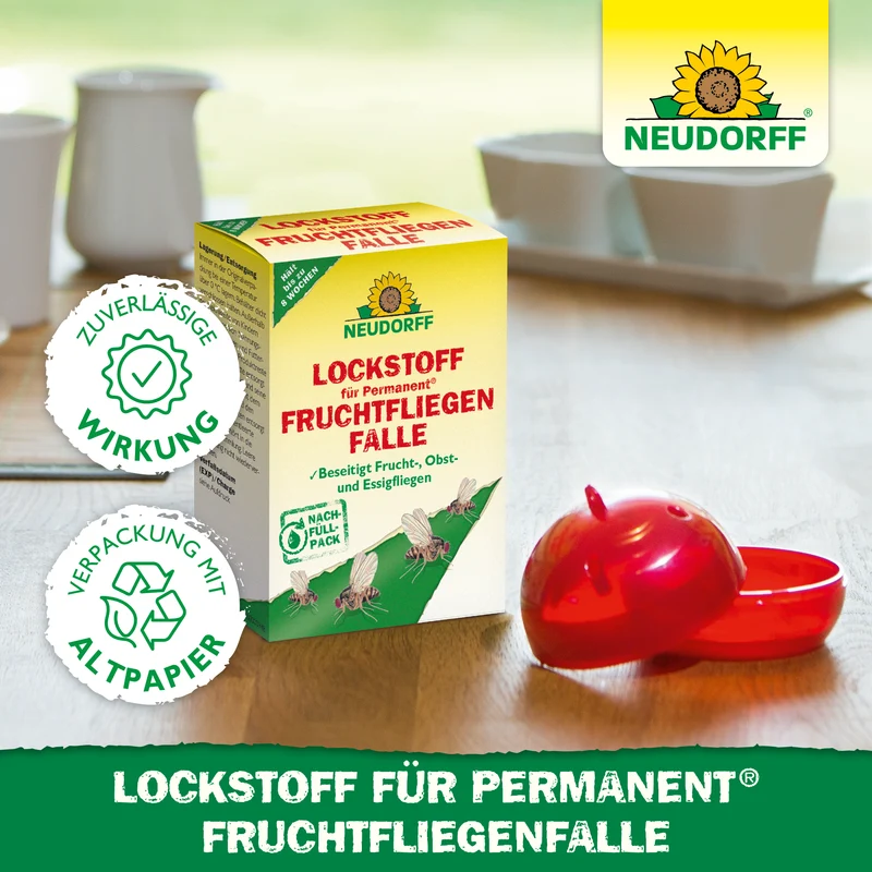Lockstoff für Permanent FruchtfliegenFalle