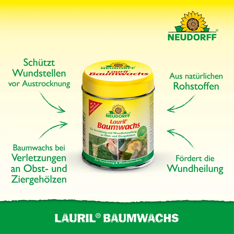 Lauril Baumwachs
