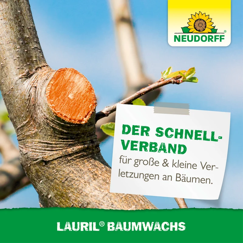 Lauril Baumwachs