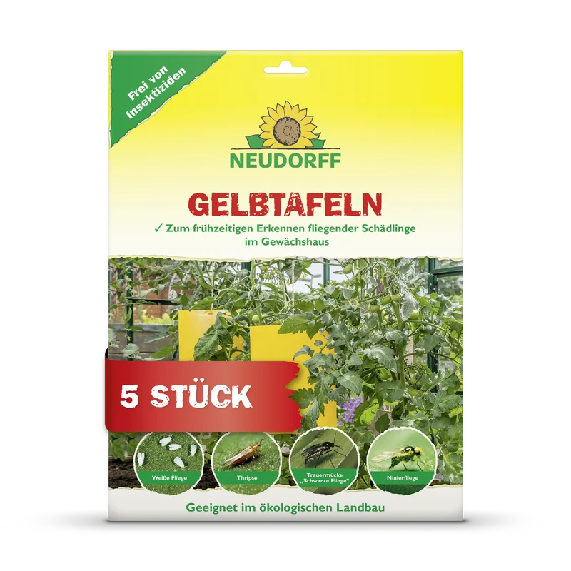 Gelbtafeln (großformatig)