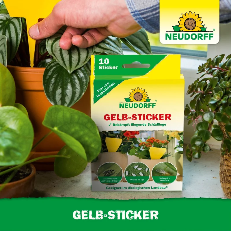 Gelb-Sticker