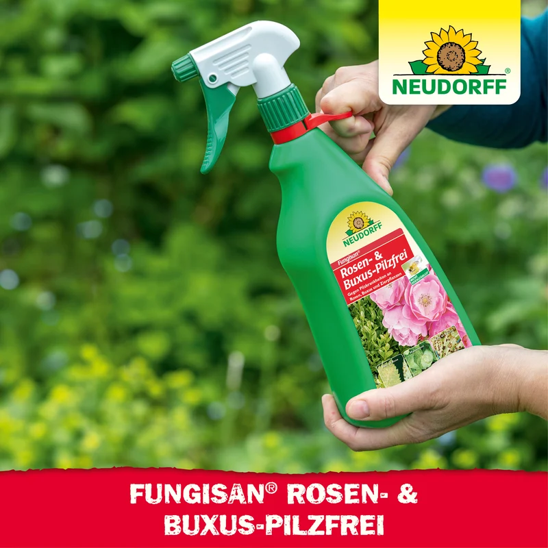 Fungisan Rosen- und Buxus-Pilzfrei