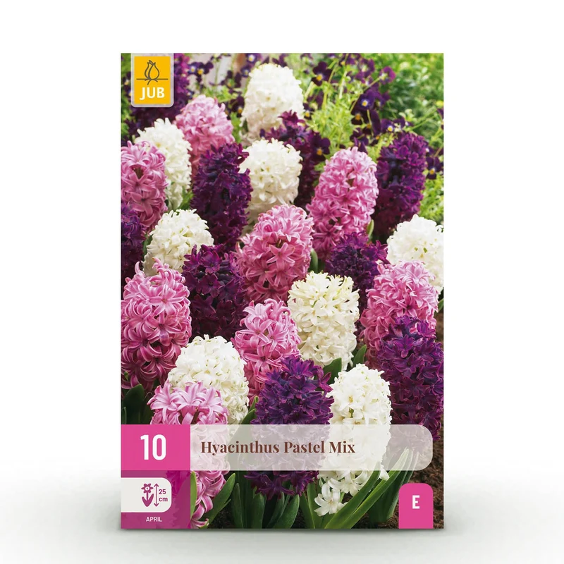 Blumenzwiebeln – Hyazinthe Pastel Mix – winterhart & mehrjährig – verschiedene Pastellfarben – 10 Stück – Zwiebelgröße 14/15 – XXL Pack