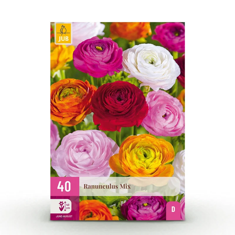 Blumenzwiebeln – Ranunculus Mix – winterhart & mehrjährig – verschiedene Farben – 40 Stück – Zwiebelgröße 5/6 – XXL Pack