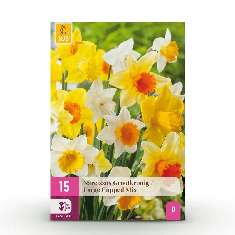 Blumenzwiebeln – Narzisse Large Cupped Mix – winterhart & mehrjährig – gelb & weiß – 15 Stück – Zwiebelgröße 12/14 – XXL Pack