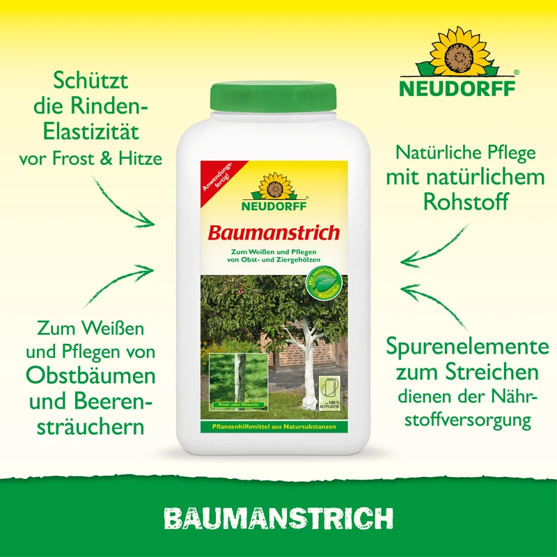 Baumanstrich