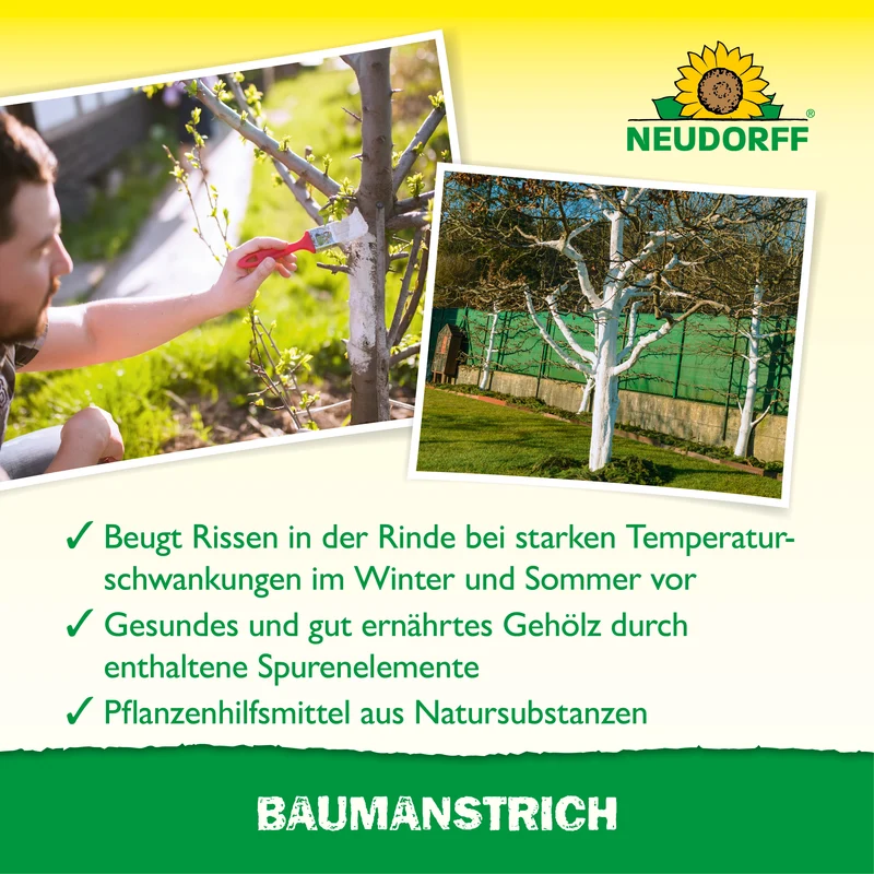 Baumanstrich