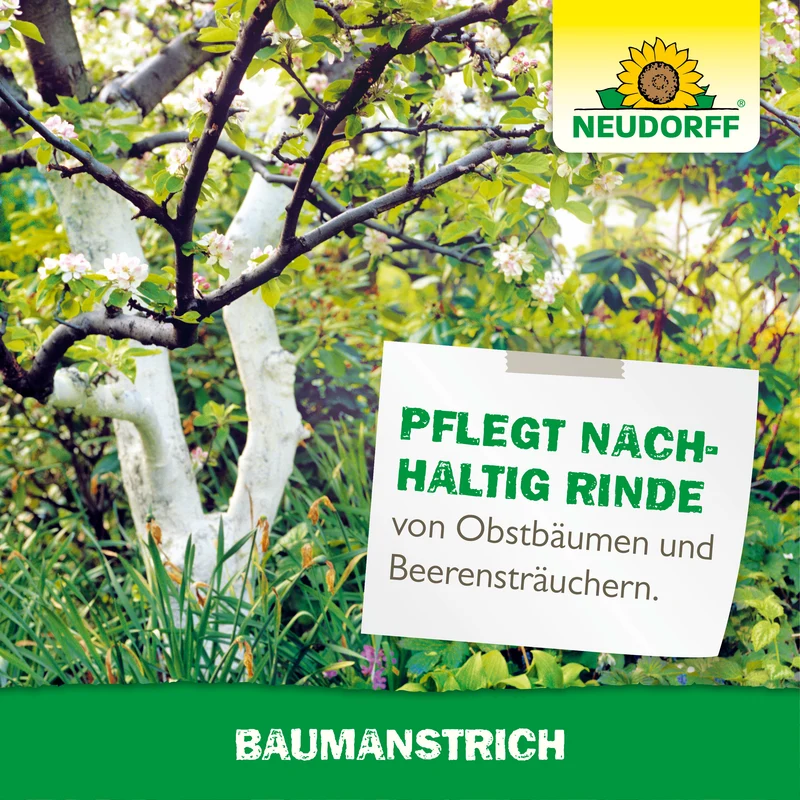 Baumanstrich