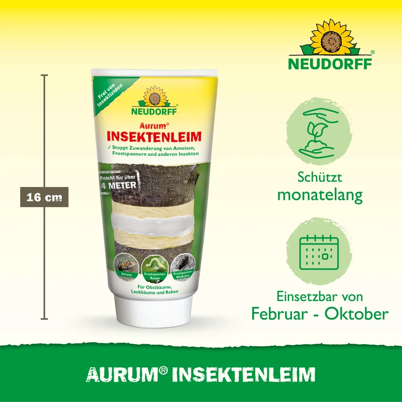 Aurum InsektenLeim