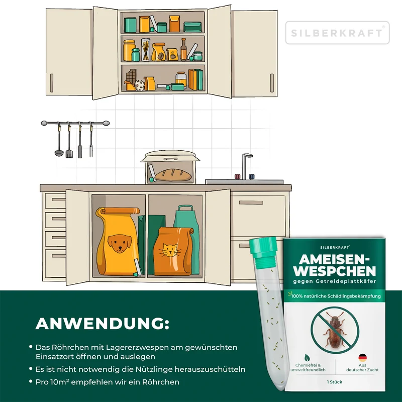 Ameisenwespchen - Cephalonomia tarsalis (CephiTop®)