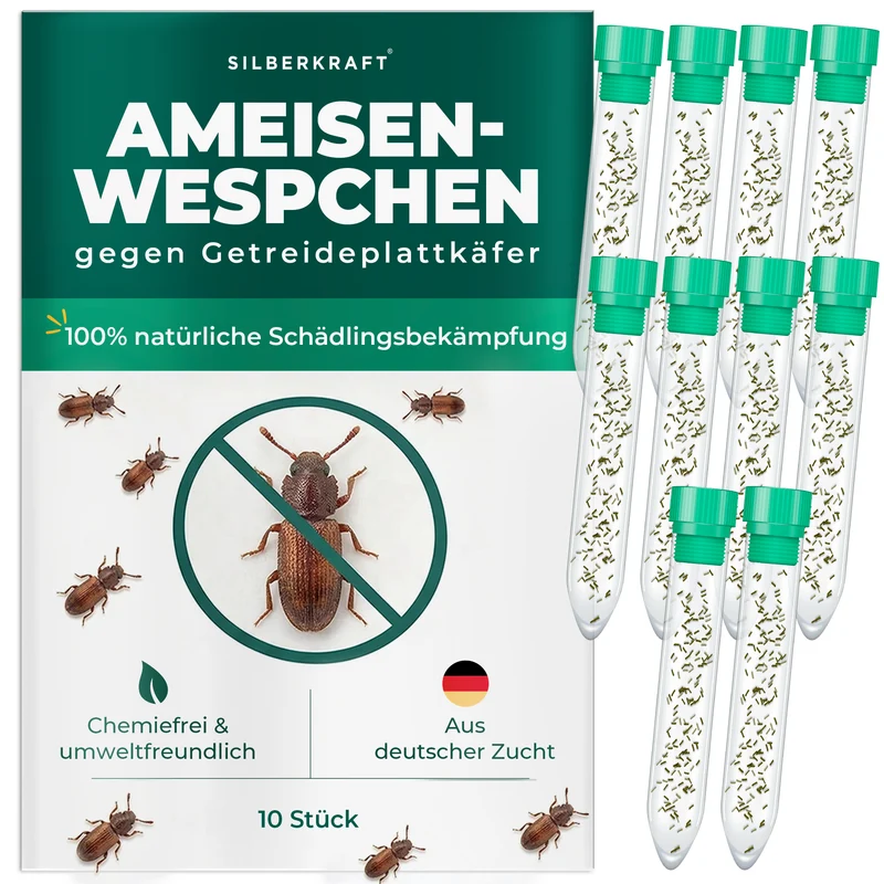 Ameisenwespchen - Cephalonomia tarsalis (CephiTop®)