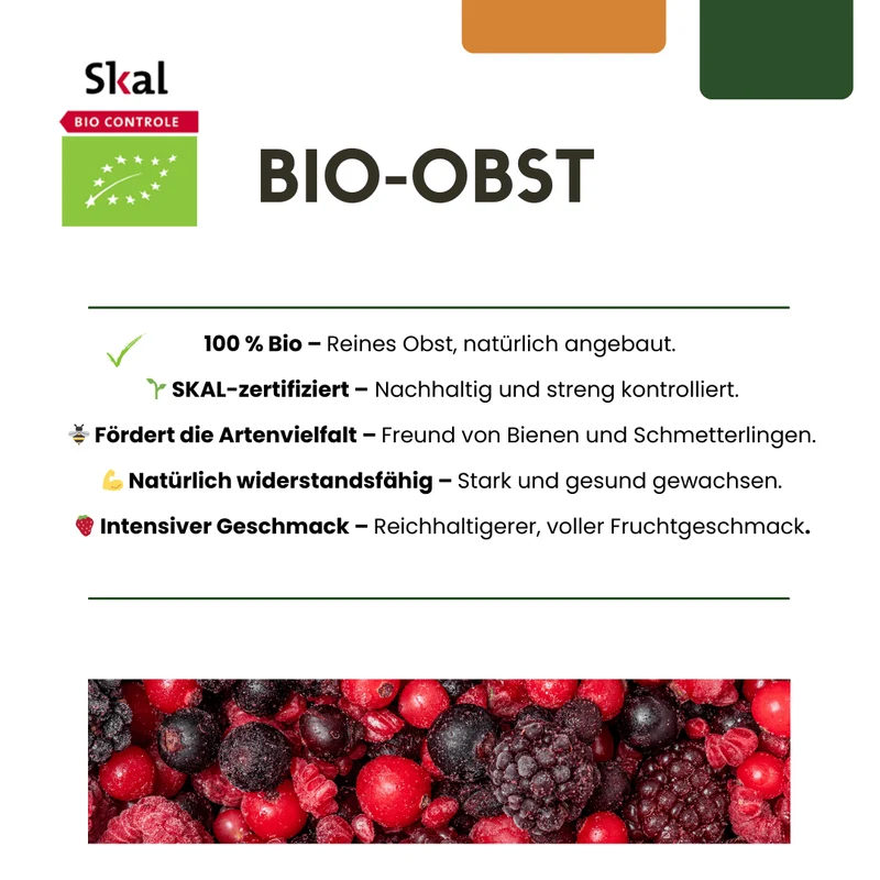 Figuier bio – jeune plant de figuier, Ø 13 cm, hauteur 20 cm