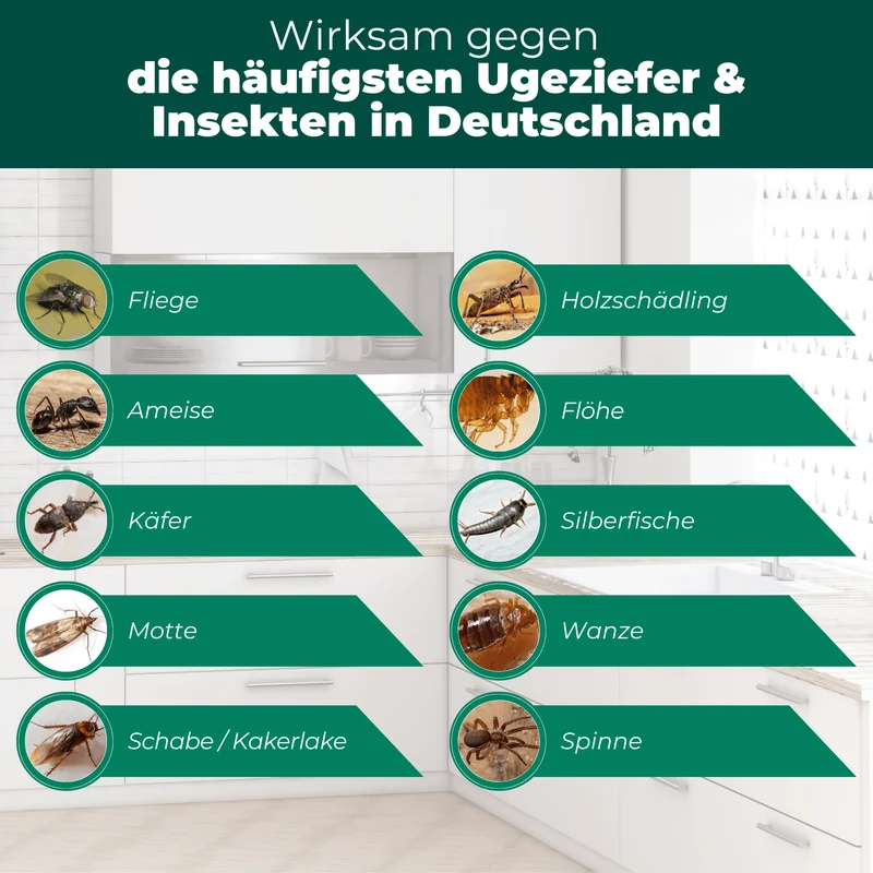 Ungeziefer/ Insektenfalle mit Spezial-Lockstoff