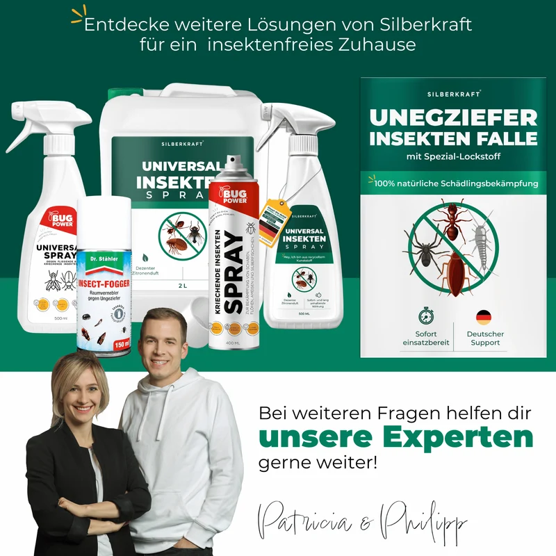 Ungeziefer/ Insektenfalle mit Spezial-Lockstoff