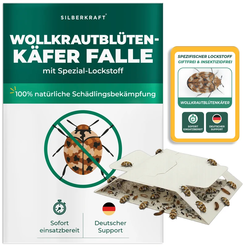 Wollkrautblütenkäferfalle mit Spezial-Lockstoff