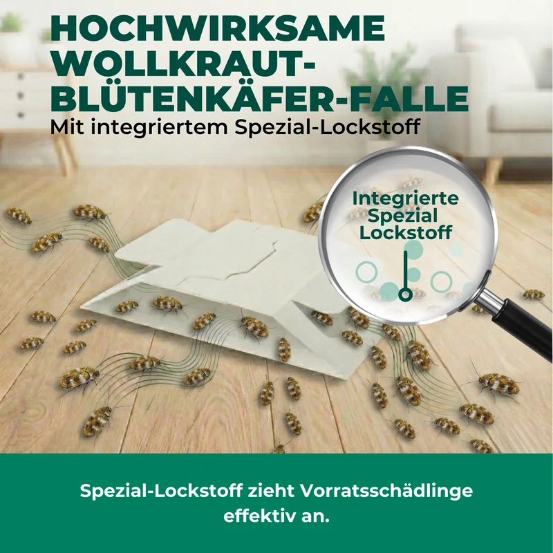 Wollkrautblütenkäferfalle mit Spezial-Lockstoff