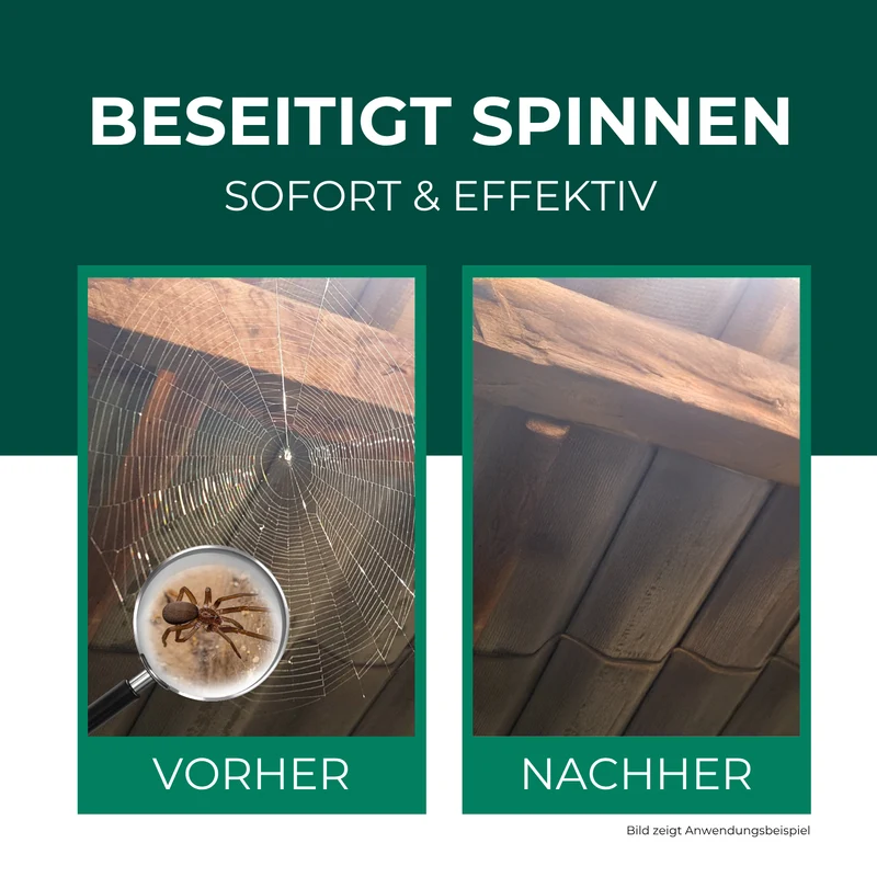 Spinnenspray 500 ml inkl. E-Book