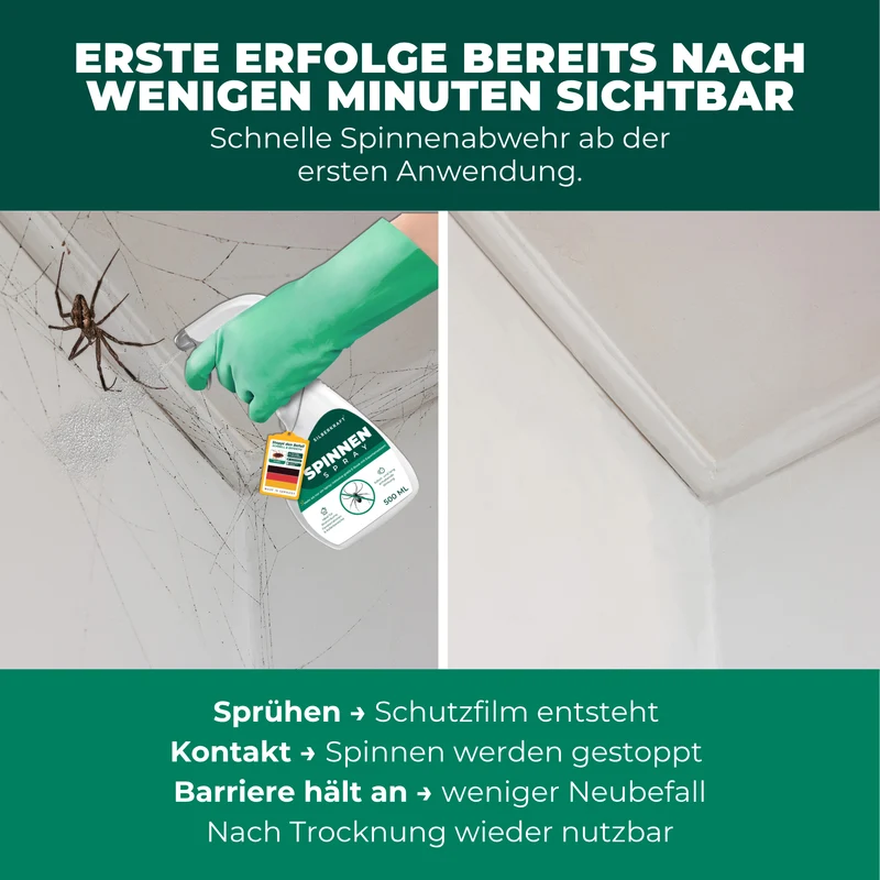 Spinnenspray 500 ml inkl. E-Book