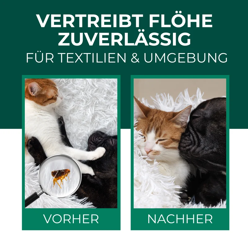 Flohspray Textil & Umgebung inkl. E-Book