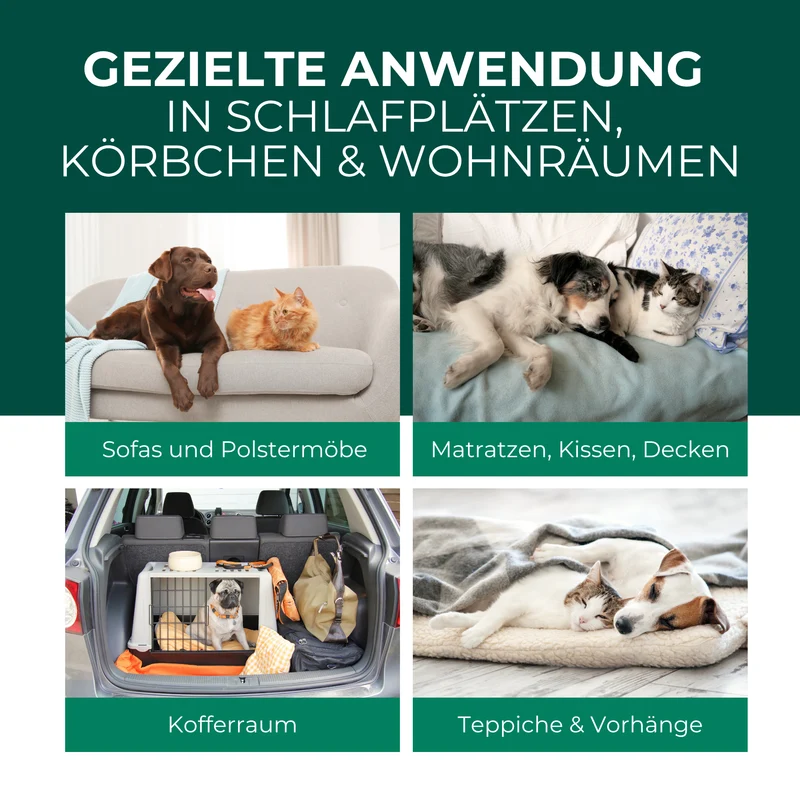 Flohspray Textil & Umgebung inkl. E-Book