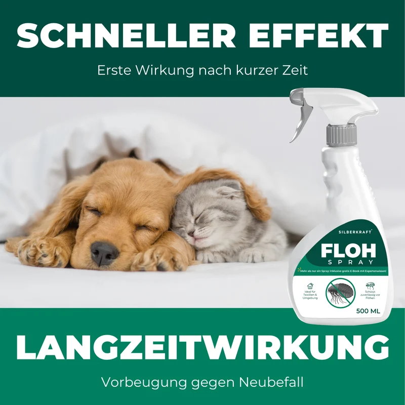Flohspray Textil & Umgebung inkl. E-Book