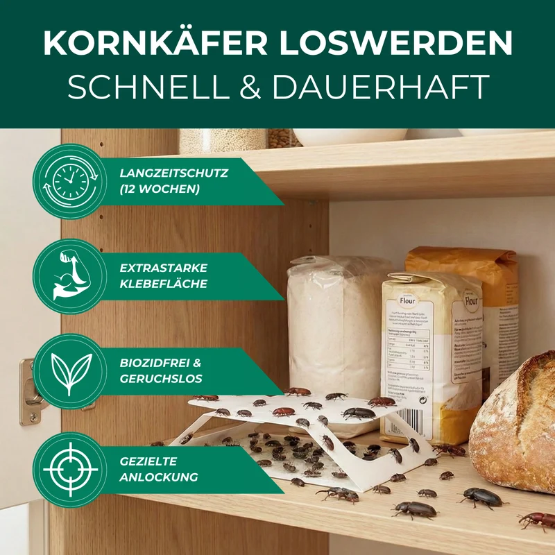 Kornkäferfalle mit Spezial-Lockstoff