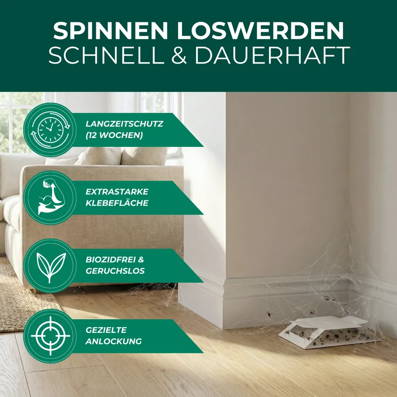Spinnenfalle mit Spezial-Lockstoff