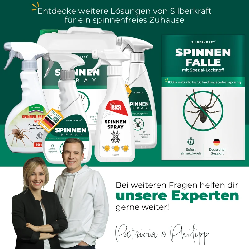 Spinnenfalle mit Spezial-Lockstoff