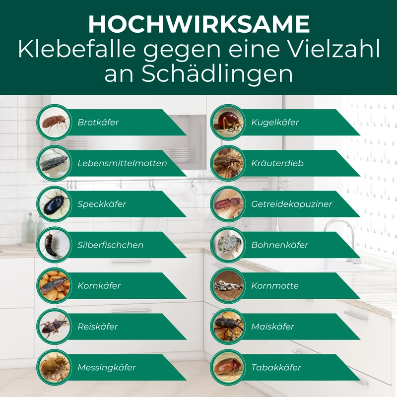 Käferfalle gegen diverse Käfer mit Spezial-Lockstoff
