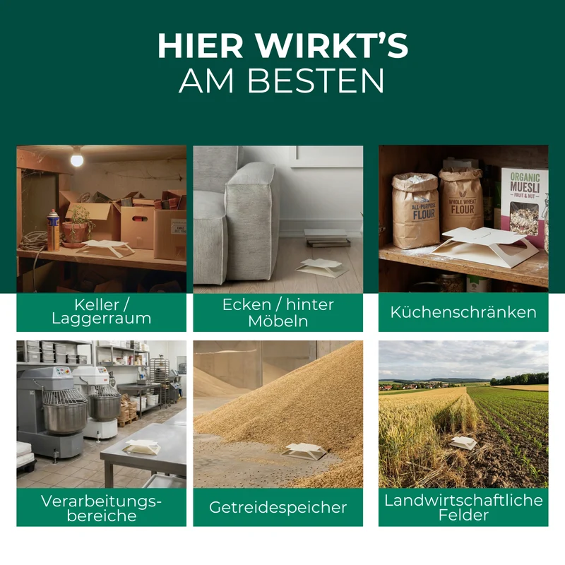 Käferfalle gegen diverse Käfer mit Spezial-Lockstoff