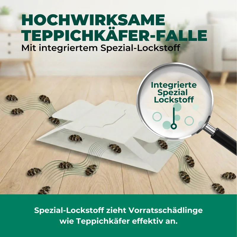 Teppichkäferfalle mit Spezial-Lockstoff