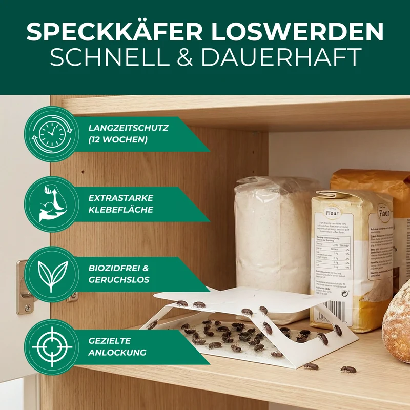 Speckkäferfalle mit Spezial-Lockstoff