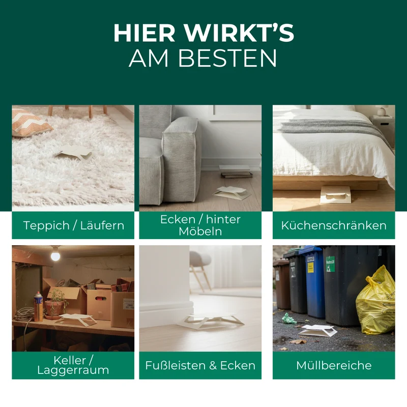Bettwanzenfalle mit Spezial-Lockstoff