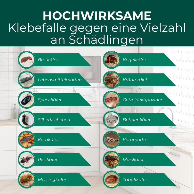 Brotkäferfalle mit Spezial-Lockstoff