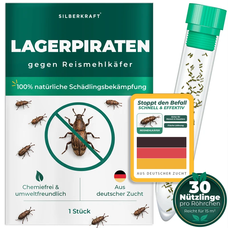 Lagerpiraten gegen Reismehlkäfer (Raubwanze Xylocoris Xylocoris flavipes)