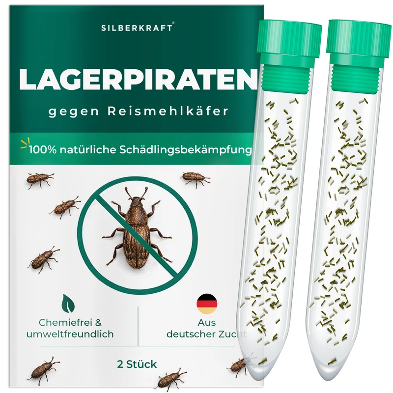 Lagerpiraten gegen Reismehlkäfer (Raubwanze Xylocoris Xylocoris flavipes)