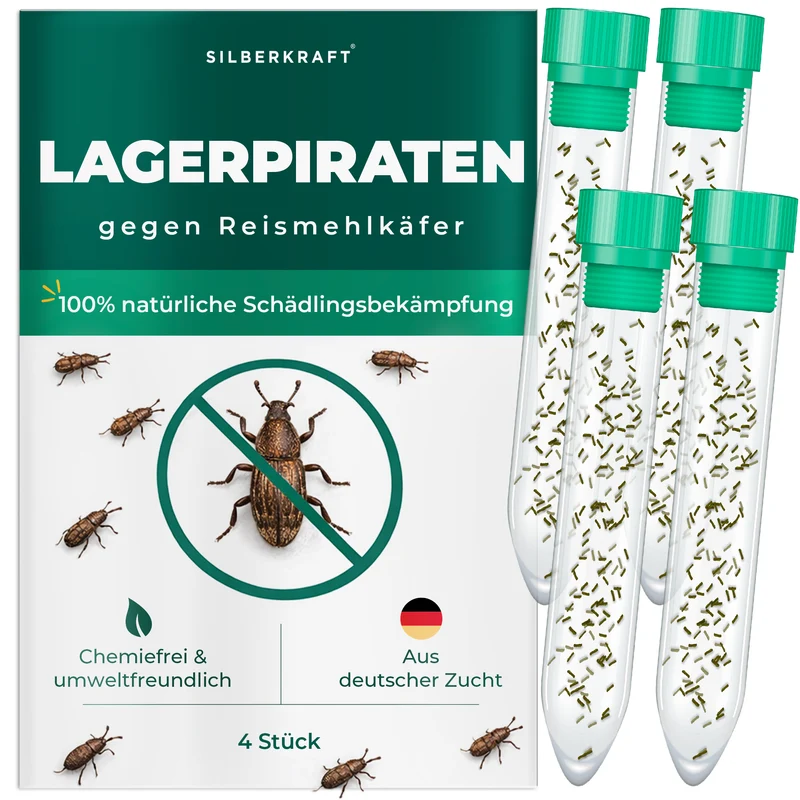 Lagerpiraten gegen Reismehlkäfer (Raubwanze Xylocoris Xylocoris flavipes)