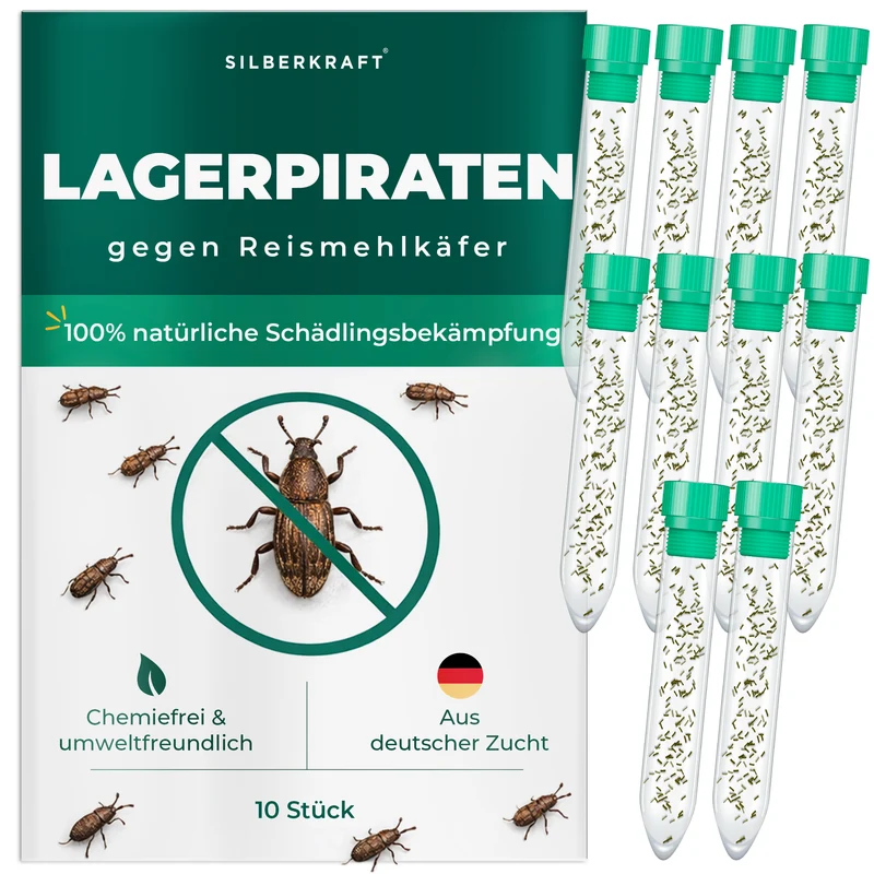 Lagerpiraten gegen Reismehlkäfer (Raubwanze Xylocoris Xylocoris flavipes)