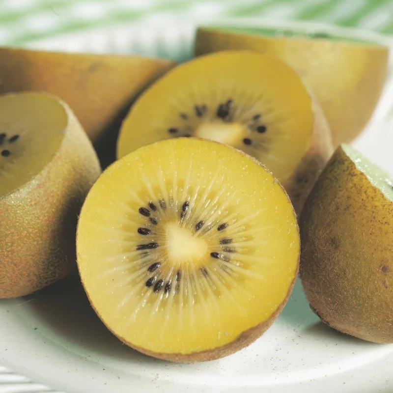 Gelbe Kiwi „Golden Kiwi“ (Actinidia deliciosa), 2 Pflanzen, 50 cm hoch
