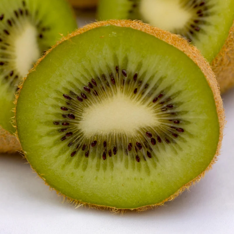 Grüne Kiwi „Jenny“ – Actinidia deliciosa, 2 Pflanzen im 15 cm-Topf (Höhe ca. 50 cm)
