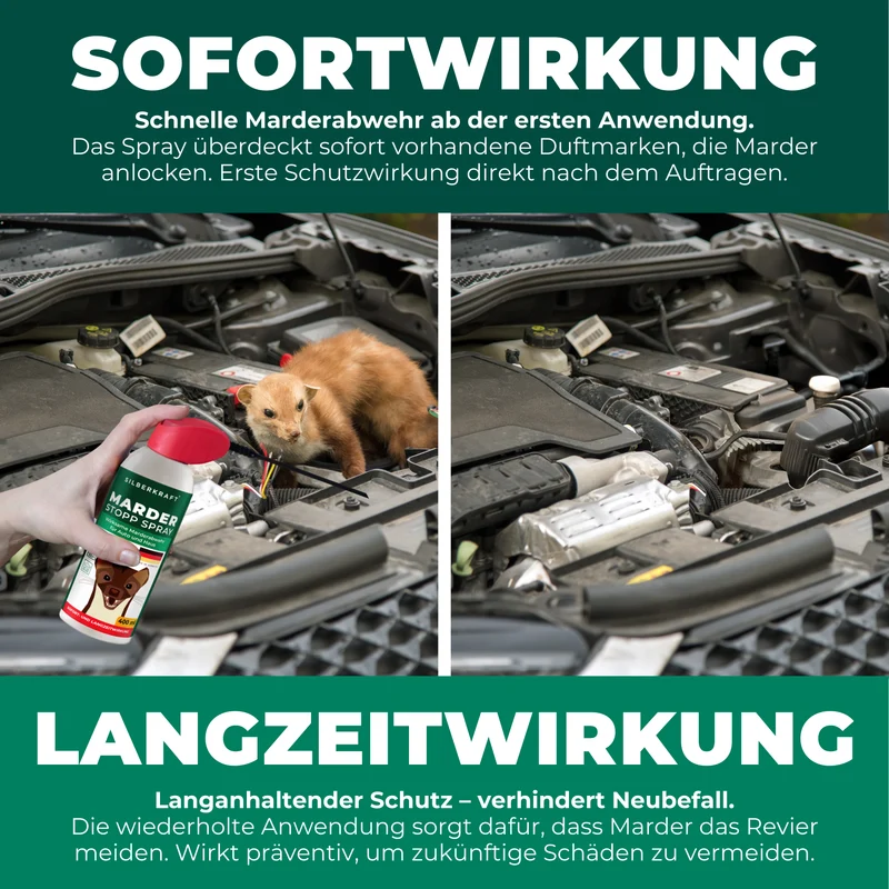 Marder-Stopp Spray: Hochwirksamer Marderschutz für dein Auto und Zuhause
