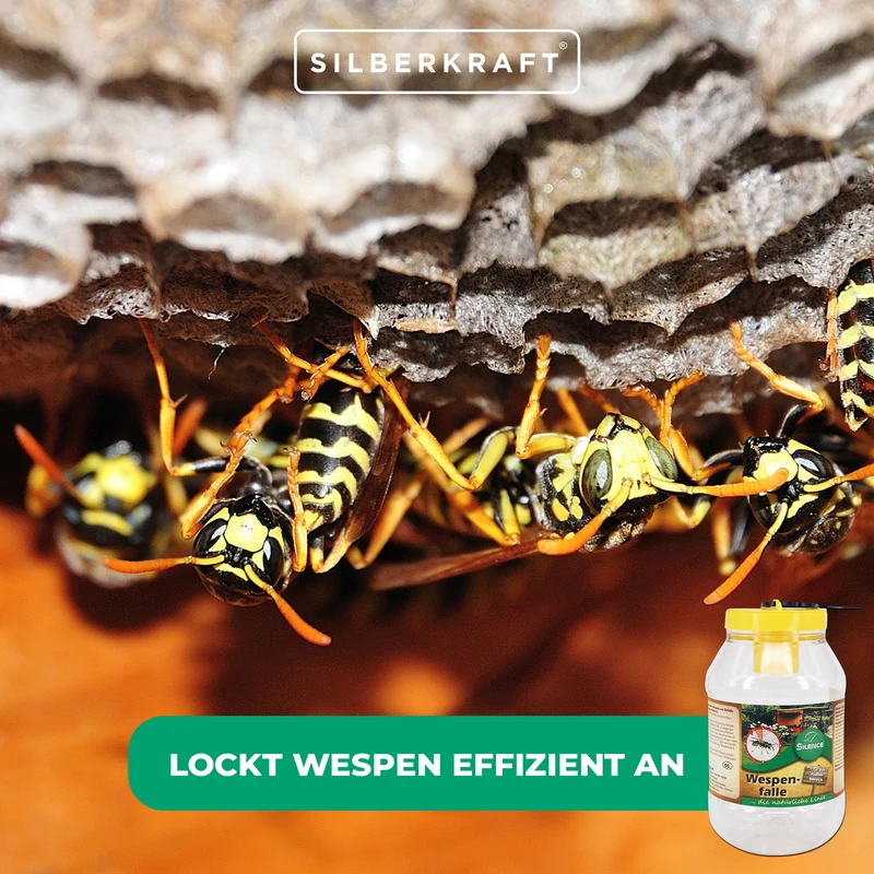 Silence Wespenfalle: gebrauchsfertiger Lockduft zum optimalen Wespenschutz