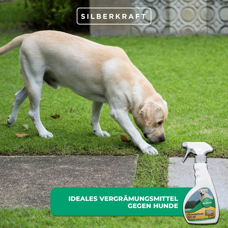 Silence Hundefrei-Spray: Vergrämungsmittel gegen Hunde