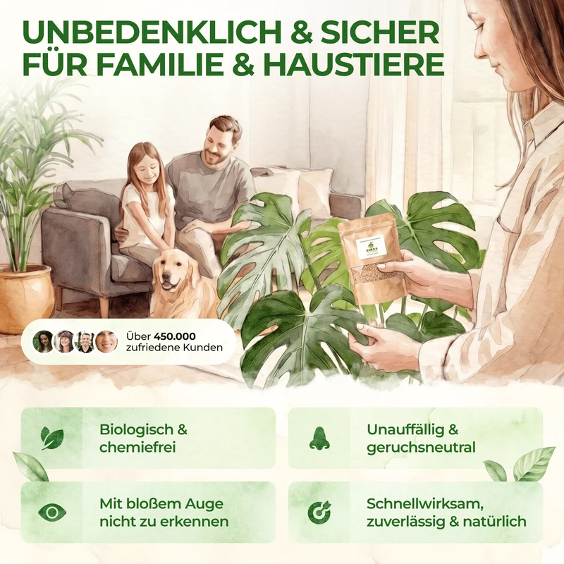 Raubmilben gegen Thripse