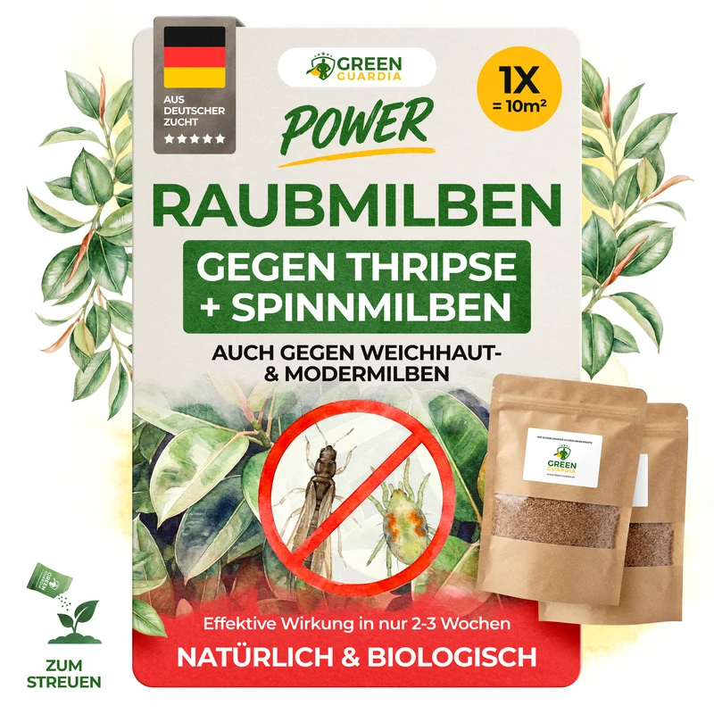 Mélange d'acariens prédateurs contre les thrips et les tétranyques