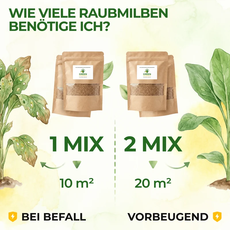 Mélange d'acariens prédateurs contre les thrips et les tétranyques