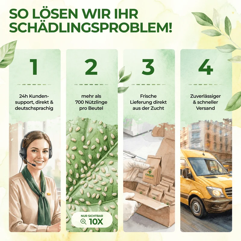 Mieszanka na roztocze drapieżne przeciwko ziemiórkom i roztoczom ptasim – produkt luzem