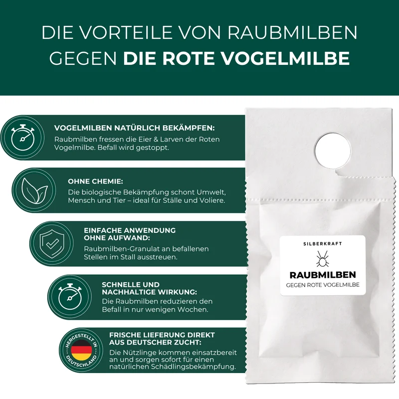 Raubmilben gegen Rote Vogelmilben (Stratiolaelaps scimitus / Hypoaspis miles)