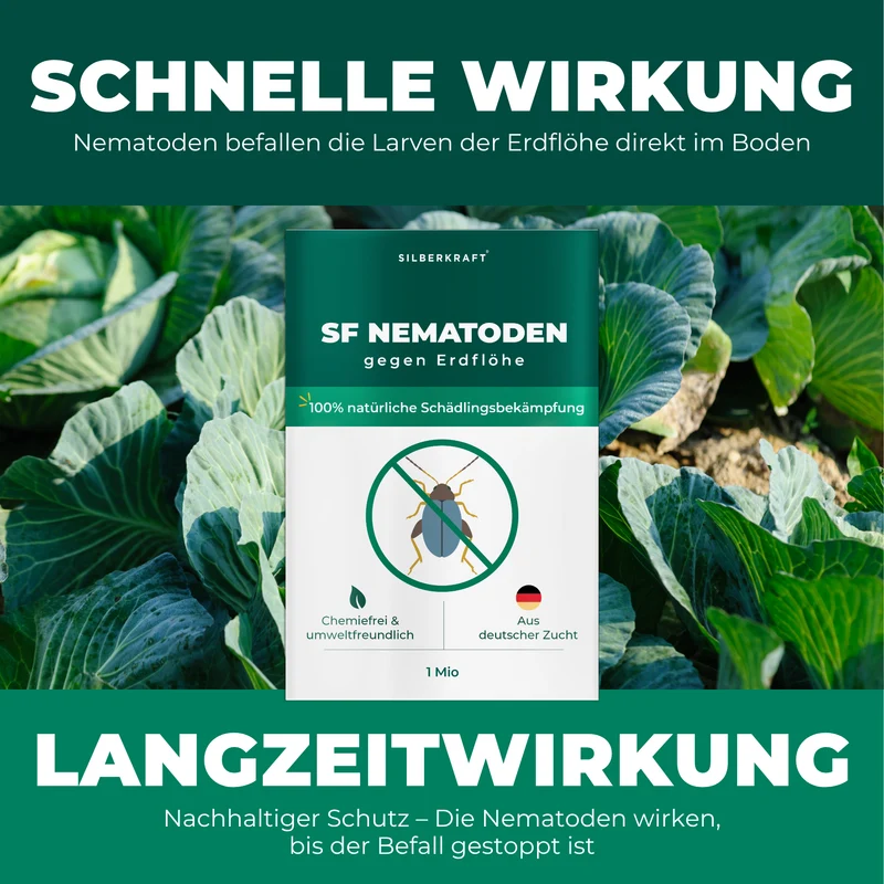 SF Nematoden gegen Erdflöhe