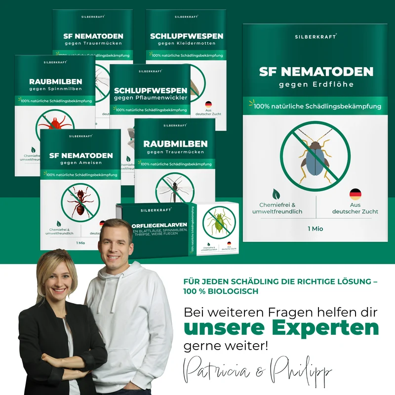 SF Nematoden gegen Erdflöhe